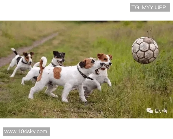 足球明星的幸运物揭秘你不知道的秘密与故事 足球明星的幸运物揭秘你不知道的秘密与故事